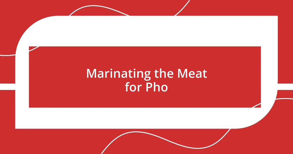 Marinating the Meat for Pho